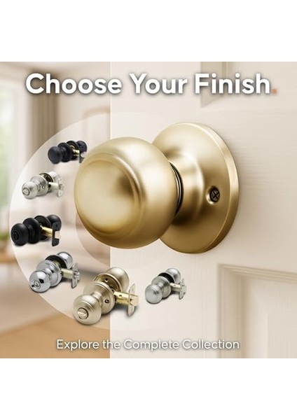 CK2020PB Koloni Kapı Kolu, Geçiş Fonksiyonu, 1 Paket, Cilalı Pirinç fiyatları