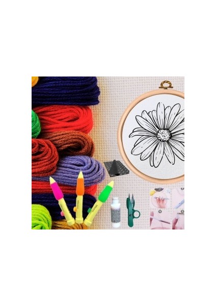 Punch Seti Nakış Seti Kasnaklı Kendin Yap Seti Seri 32