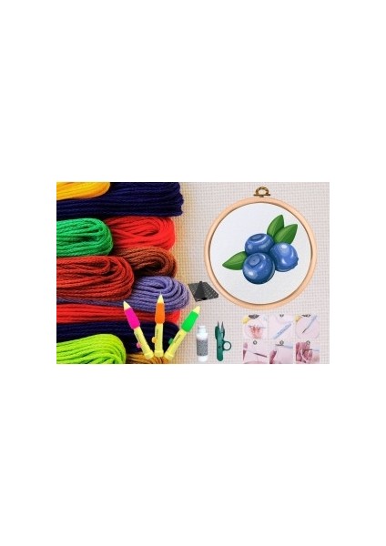 Punch Seti Nakış Seti Kasnaklı Kendin Yap Seti Seri 148