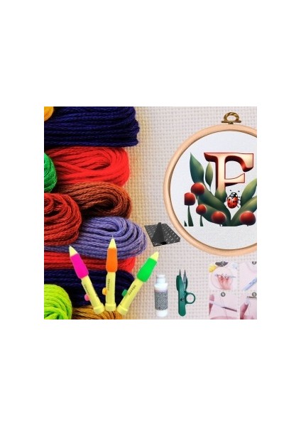 Punch Seti Nakış Seti Kasnaklı Kendin Yap Seti Seri 67