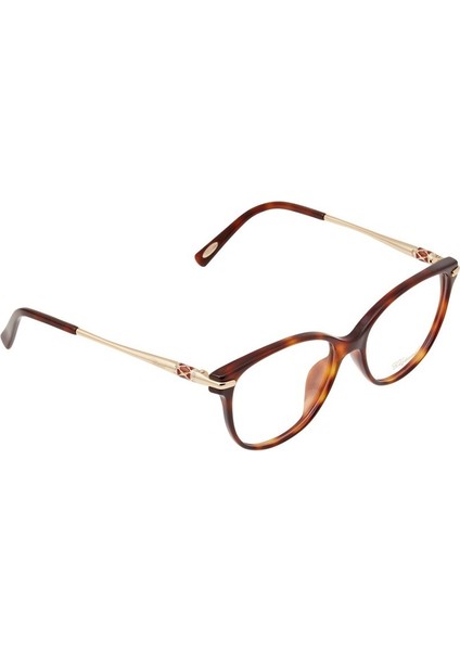 VCH216S 09XK 23KT Gold Cat Eye Kedi Gözü Kahverengi Havana 23KT Altın Kadın Gözlük fiyatları