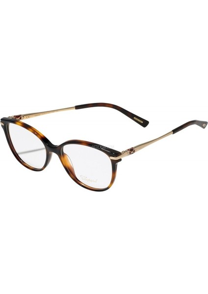 VCH216S 09XK 23KT Gold Cat Eye Kedi Gözü Kahverengi Havana 23KT Altın Kadın Gözlük modelleri