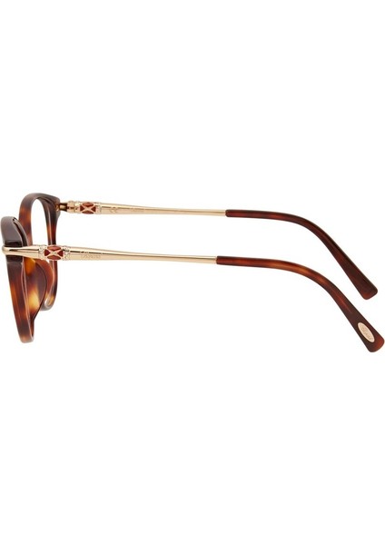 VCH216S 09XK 23KT Gold Cat Eye Kedi Gözü Kahverengi Havana 23KT Altın Kadın Gözlük fırsatları