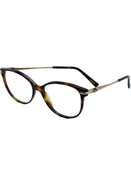 VCH216S 09XK 23KT Gold Cat Eye Kedi Gözü Kahverengi Havana 23KT Altın Kadın Gözlük indirimleri