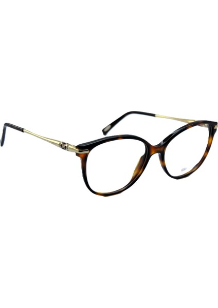 VCH216S 09XK 23KT Gold Cat Eye Kedi Gözü Kahverengi Havana 23KT Altın Kadın Gözlük