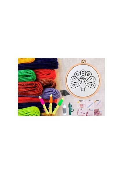 Punch Seti Nakış Seti Kasnaklı Kendin Yap Seti Seri 13