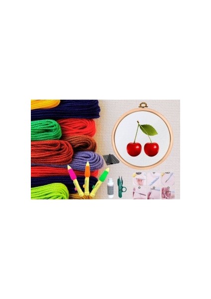 Punch Seti Nakış Seti Kasnaklı Kendin Yap Seti Seri 12