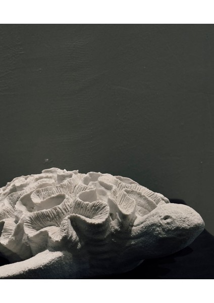 Modern Deniz Kaplumbağası Heykel – 34X28 cm Polyester Mercan Dokulu & Masa Üstü