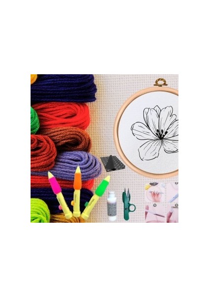 Punch Seti Nakış Seti Kasnaklı Kendin Yap Seti Seri 43