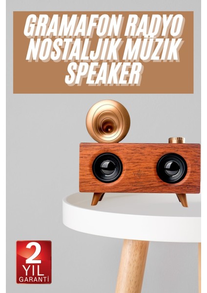Gramafon Nostaljik Radyo Yüksek Ses Kalitesi USB Tf Kart Aux - ME001W-51LL18