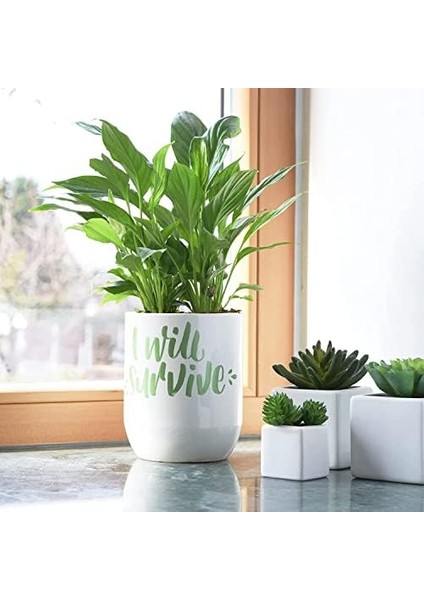 Pc-3m/7+1p.01 Su Bazlı Poster Markörü, fiyatları