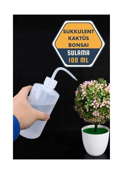 Bfs Sukkulent Kaktüs Bonsai Sulama Şişesi