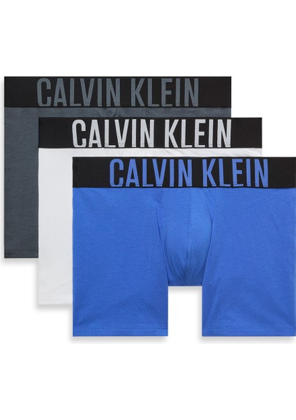 Çok Renkli Erkek Boxer 000NB3609AZD9