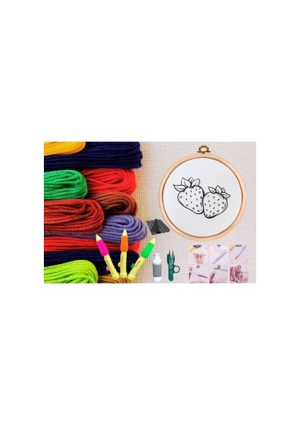 Punch Seti Nakış Seti Kasnaklı Kendin Yap Seti Seri 2