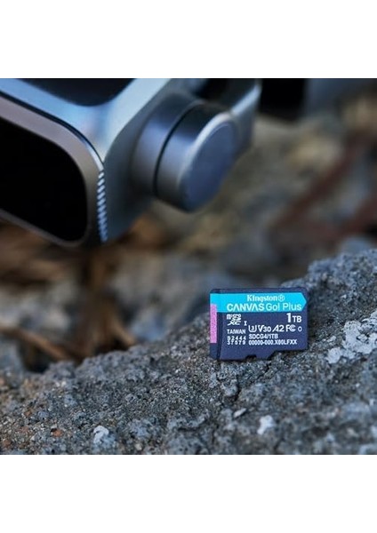 256GB Canvas Go Plus Microsd Card | Up To 200MB/S | 10, Uhs-I, U3, V30, A2 | SDCG4/256GB