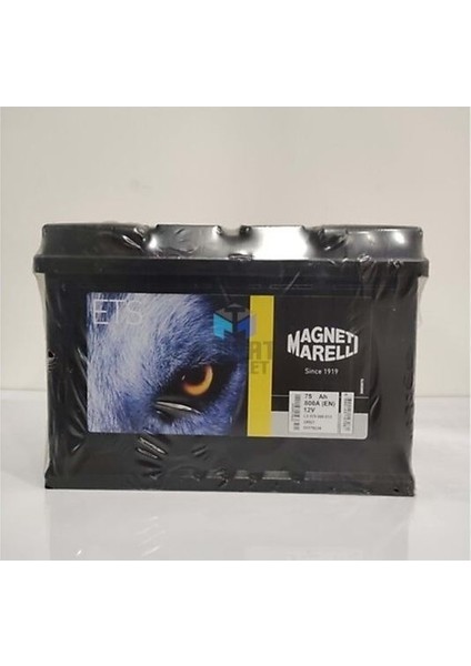 75 Amper Aku Standart Güçlü 75AH-800 Cca Marellı 278×175X190 (Inci Akü Üretim)