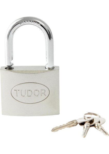 Aydos Asma Kilit Çelik Gövde 38MM