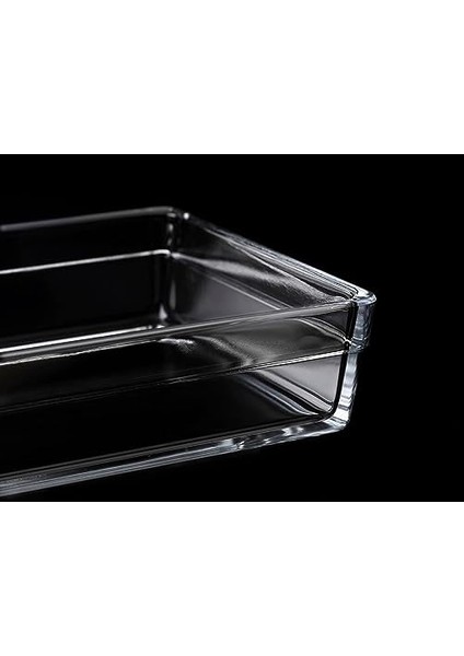 Borcam Premium Dikdörtgen Tepsi, 20 cm x 29 Cm, Şeffaf, 2.5 Litre