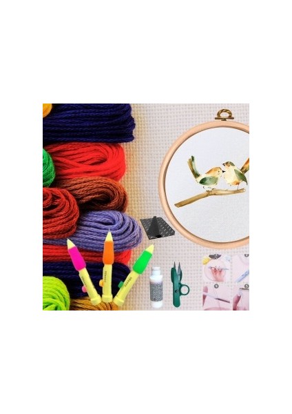 Punch Seti Nakış Seti Kasnaklı Kendin Yap Seti Seri 30