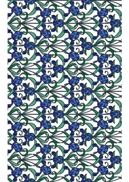 Yapışkanlı Folyo, Y Minster modelleri