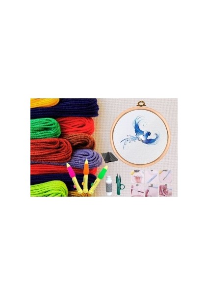 Punch Seti Nakış Seti Kasnaklı Kendin Yap Seti Seri 19