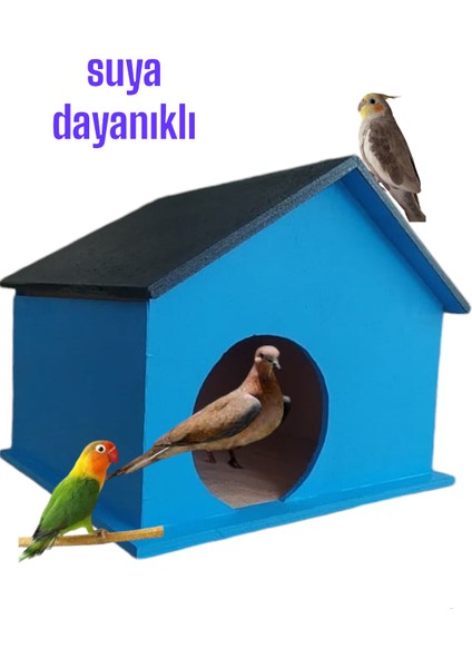 Ahşap Kumru ve Güvercin Cennet Sultan Papağanı Yuvası Dış Mekan Suya Dayanıklı 25X30X27 cm