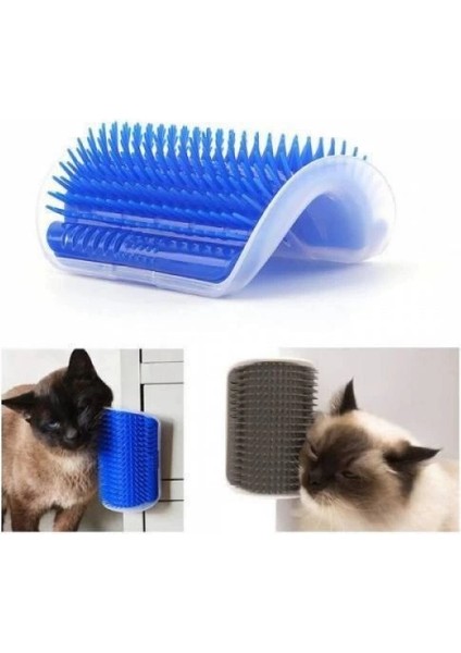 Cat It Kedi Kaşınma Aparatı fiyatları