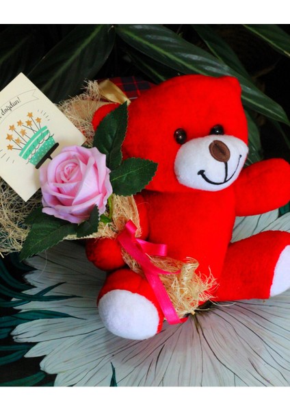 Elinde Kadife Gül & Iyi Ki Doğdun Kartı Tutan 25CM Peluş Ayı Sevdiklerinize Özel Gün Hediyesi fiyatları