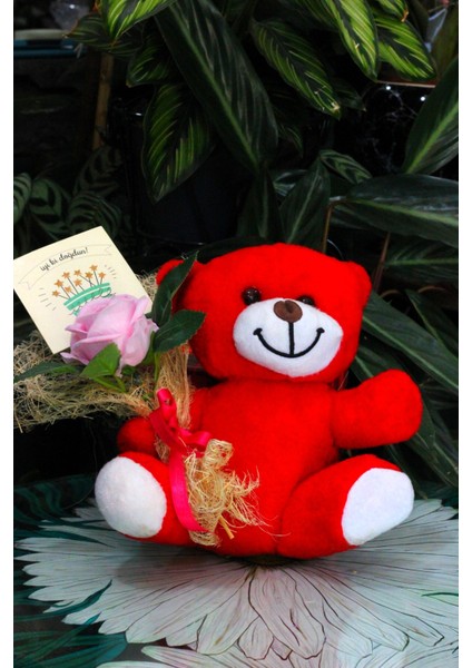 Elinde Kadife Gül & Iyi Ki Doğdun Kartı Tutan 25CM Peluş Ayı Sevdiklerinize Özel Gün Hediyesi modelleri