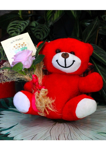 Elinde Kadife Gül & Iyi Ki Doğdun Kartı Tutan 25CM Peluş Ayı Sevdiklerinize Özel Gün Hediyesi fırsatları