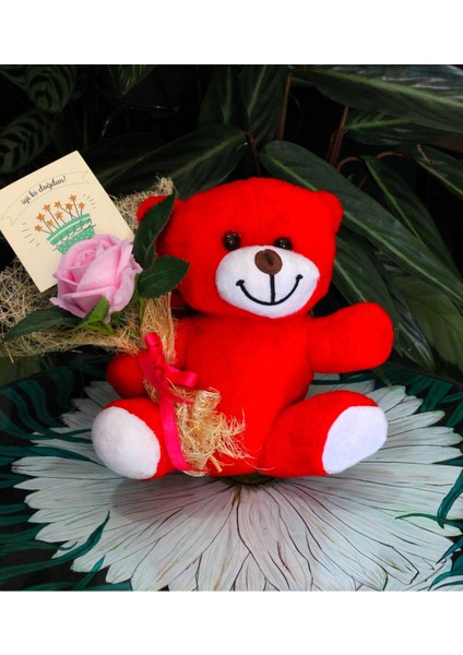 Elinde Kadife Gül & Iyi Ki Doğdun Kartı Tutan 25CM Peluş Ayı Sevdiklerinize Özel Gün Hediyesi indirimleri