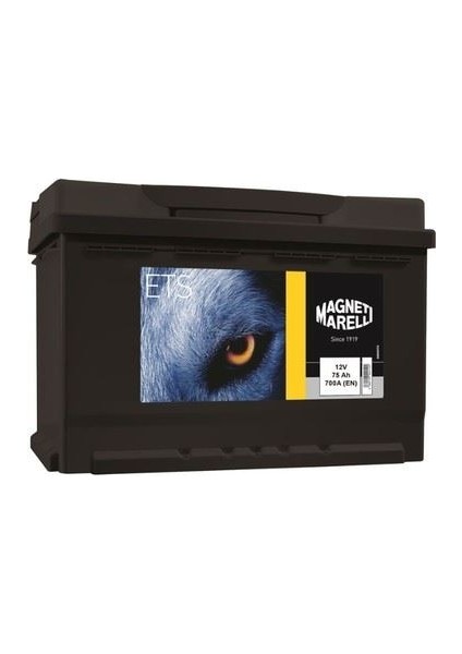 75 Amper Aku 75AH-700 Cca Standart Marellı 278×175X175 (Inci Akü Üretim)
