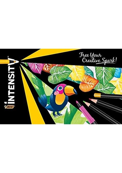 Intensity Birinci Sınıf Keçeli Kalem, Yetişkinler ve Çocuklar Için, 24 Renkte, Konforlu Kauçuk Sap ve Sağlam Uç fiyatları
