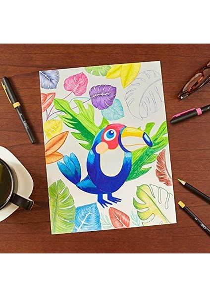 Intensity Birinci Sınıf Keçeli Kalem, Yetişkinler ve Çocuklar Için, 24 Renkte, Konforlu Kauçuk Sap ve Sağlam Uç modelleri