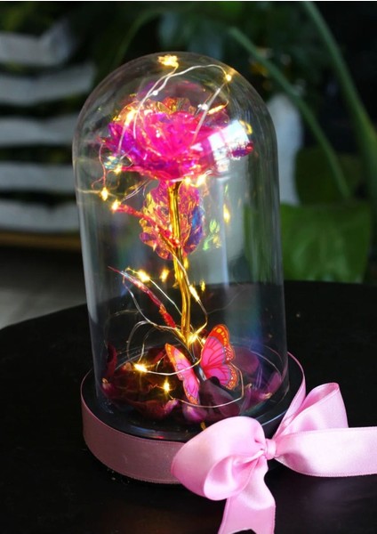 Fanus Içerisinde Peri LED Işıklı Kelebekli Çiçek Solmayan Sonsuzluk Gülü Sevdiklerinize Hediye fiyatları