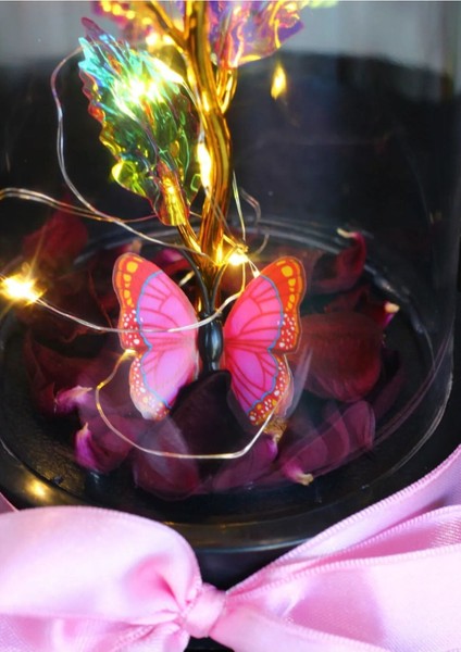 Fanus Içerisinde Peri LED Işıklı Kelebekli Çiçek Solmayan Sonsuzluk Gülü Sevdiklerinize Hediye modelleri