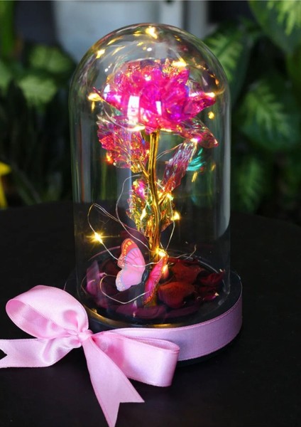 Fanus Içerisinde Peri LED Işıklı Kelebekli Çiçek Solmayan Sonsuzluk Gülü Sevdiklerinize Hediye fırsatları