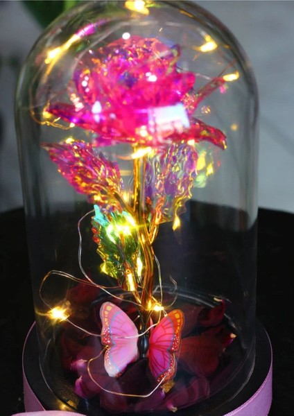 Fanus Içerisinde Peri LED Işıklı Kelebekli Çiçek Solmayan Sonsuzluk Gülü Sevdiklerinize Hediye indirimleri