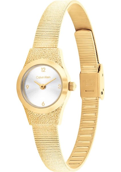 CK25100193 Kadın Kol Saati fiyatları