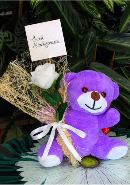 Elinde Kadife Gül & Seni Seviyorum Kartı Tutan 25CM Peluş Ayı Sevdiklerinize Özel Gün Hediyesi modelleri