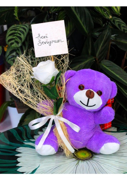 Elinde Kadife Gül & Seni Seviyorum Kartı Tutan 25CM Peluş Ayı Sevdiklerinize Özel Gün Hediyesi fırsatları