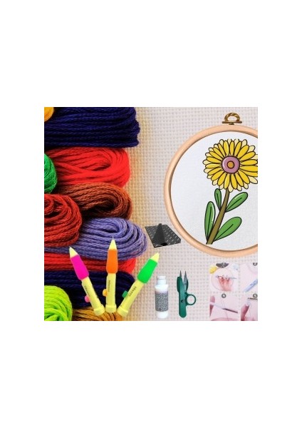 Punch Seti Nakış Seti Kasnaklı Kendin Yap Seti Seri 36