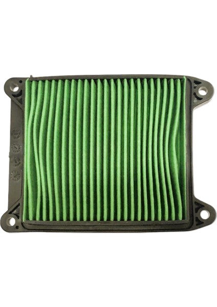 Bajaj Pulsar N250 F250 Hava Filtresi