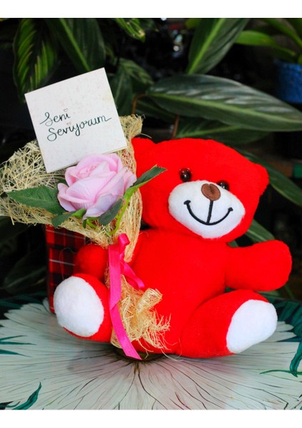 Elinde Kadife Gül & Seni Seviyorum Kartı Tutan 25CM Peluş Ayı Sevdiklerinize Özel Gün Hediyesi fiyatları