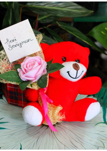Elinde Kadife Gül & Seni Seviyorum Kartı Tutan 25CM Peluş Ayı Sevdiklerinize Özel Gün Hediyesi modelleri