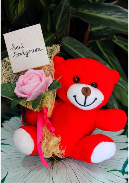 Elinde Kadife Gül & Seni Seviyorum Kartı Tutan 25CM Peluş Ayı Sevdiklerinize Özel Gün Hediyesi fırsatları