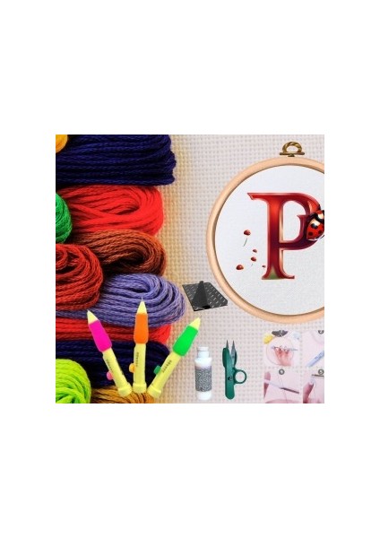 Punch Seti Nakış Seti Kasnaklı Kendin Yap Seti Seri 84