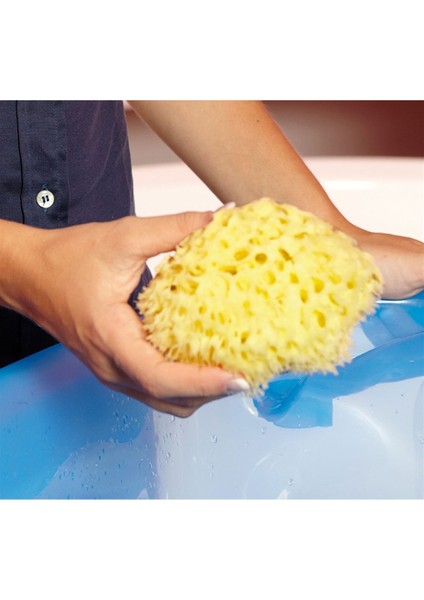 Doğal Banyo Süngeri / Orta fiyatları