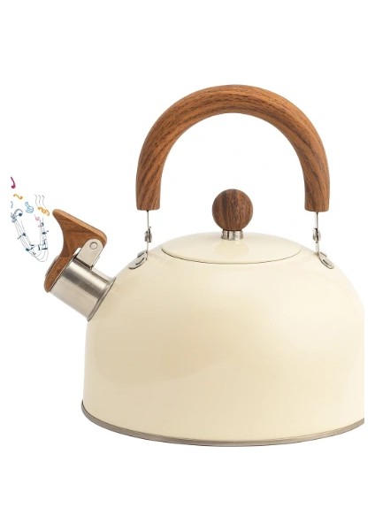 Paslanmaz Çelik Demlik Karma Renk