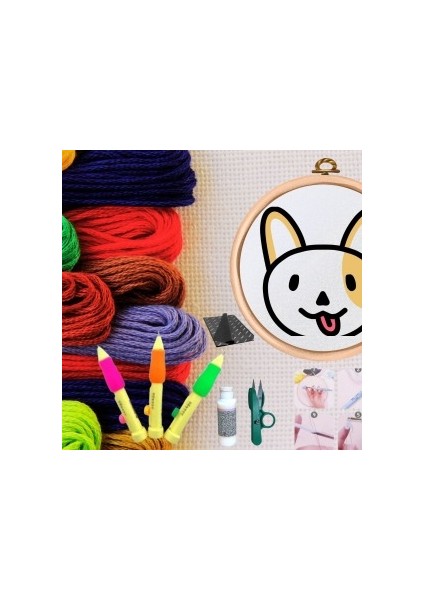 Punch Seti Nakış Seti Kasnaklı Kendin Yap Seti Seri 58